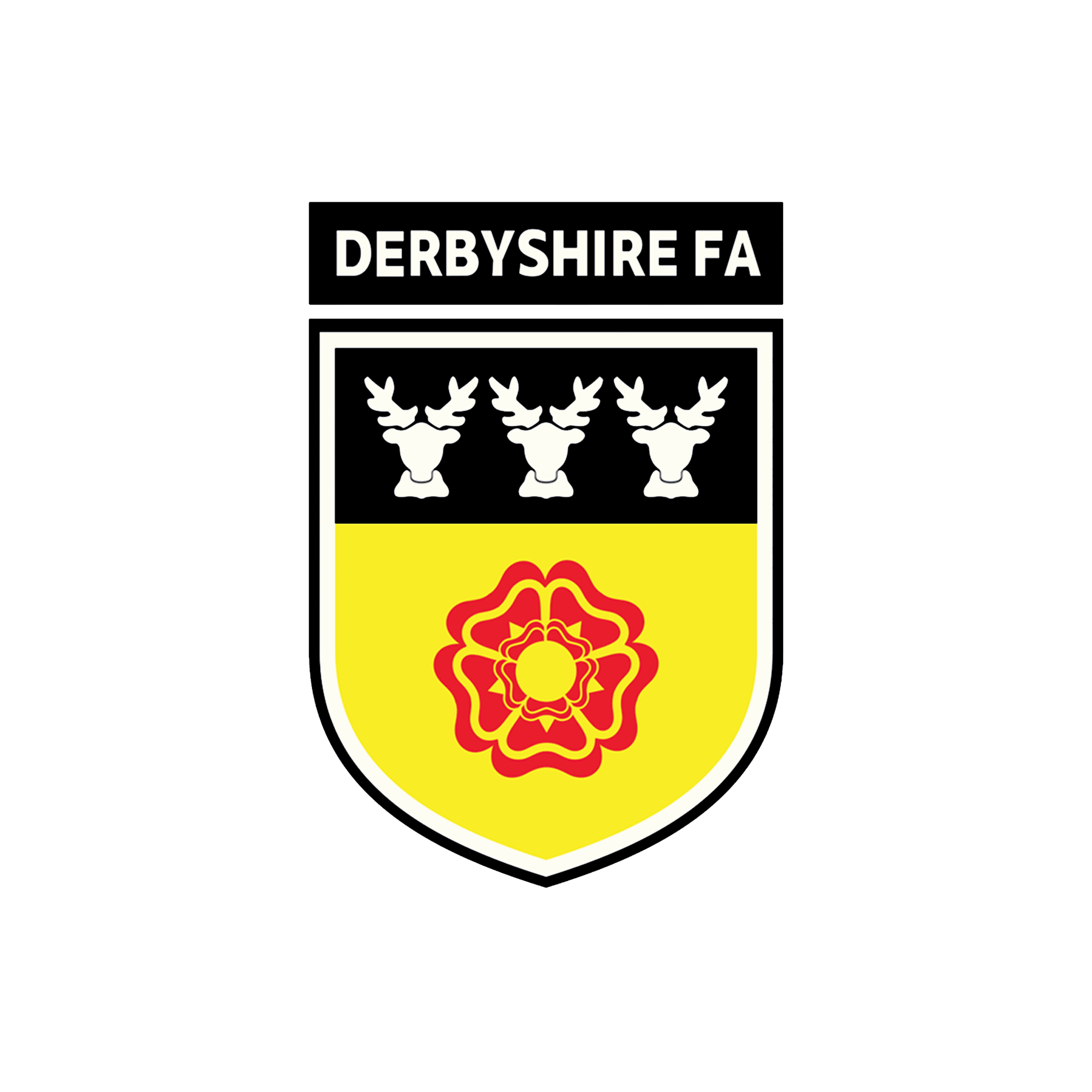 Football Development Officer (Disability & Inclusion)