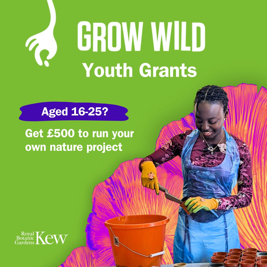 Small grants for youth-led gardening projects