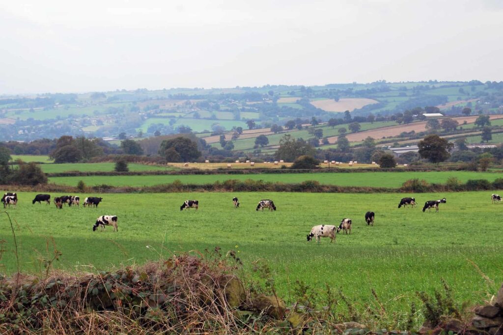Better Derbyshire Dales Fund